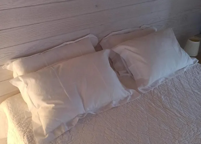 Tiny House à Découvrir Au Cœur De La Cité ! Contrexéville